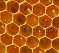 Apiterapia